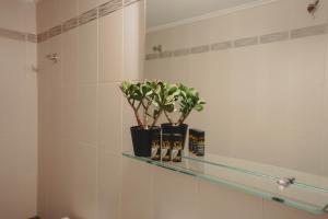 Almy Sea Apartment