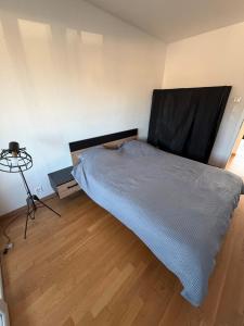 Spacious apartment in Geneva