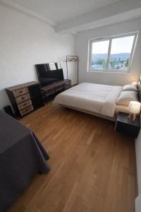 Spacious apartment in Geneva