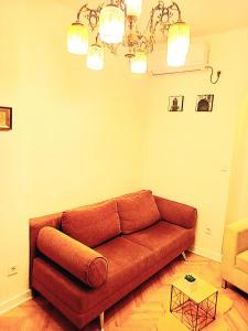 Cozy Central Nest Kotor