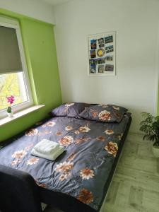 Comfy Pokoje Zbyszewskiego