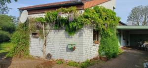 Geschmackvolles Zimmer in Steinhude