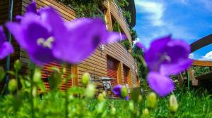 Das Sonnenheim Hotel - Garni