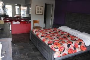miami inn & suites