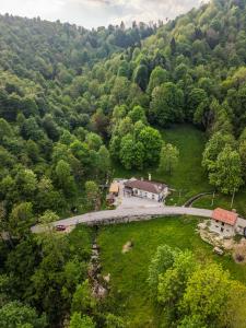 La Vrata Gialla