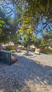 Ruina Glamping