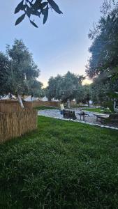 Ruina Glamping