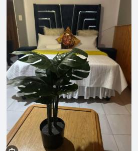 Best Stay Guesthouse