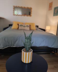 Studio climatisé avec cour à 15min du coeur de Nîmes