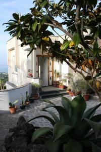 Albachiara Ischia