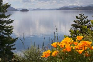 La Sirenuse Lake Suites In San Carlos De Bariloche Room - 