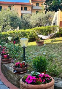 Vivi la Toscana