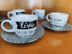 Confortevole Trilocale Filzi