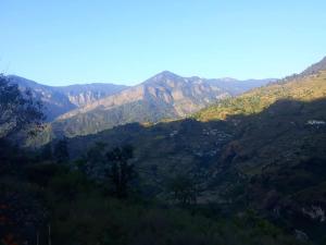 Kailash darshan view camp chopta