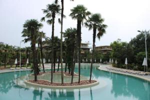 Dream Land Oasis