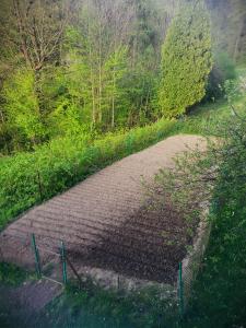 Olszynowa Górka Agroturystyka