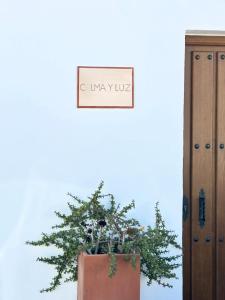 CASA CALMA y LUZ
