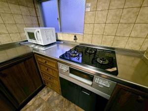 Plandor Akitsu 301,703 - Vacation STAY 21429