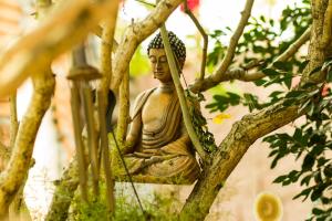 Buddys Hostel & Pousada Alto Paraiso