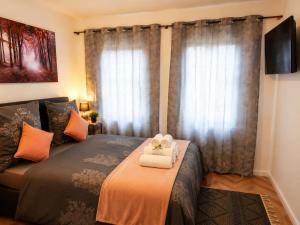Comfortable and Cozy Apartment in Dresden
