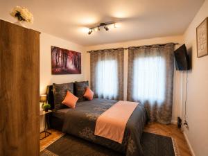Comfortable and Cozy Apartment in Dresden