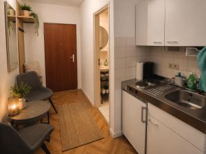 Comfortable and Cozy Apartment in Dresden