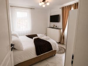 Zori de Bucovina Apartament