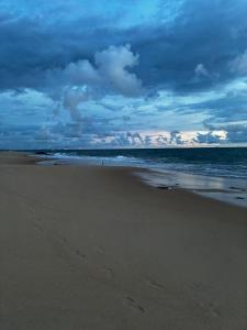 Shells By D