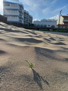 Gesell 2 frente al mar