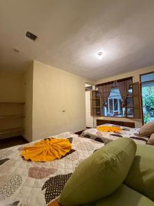 Efrata House