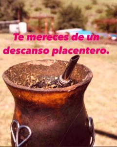 Complejo Renacer