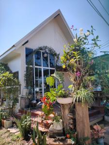 Banyai Pool Villa Chiang Khan
