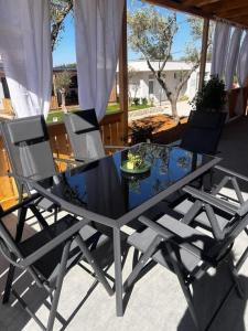 Mobile home SI ACE Holiday Village Twins Pakoštane with pool, Croatia