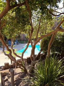Luxury Marina Del Rey 2Bedroom Apartment