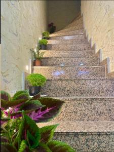 Gala suites hotel
