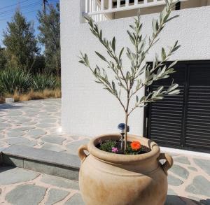 Villa Siesta gr