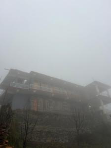 Jumanji homestay
