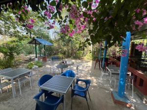 Wilderness Jungle Camp