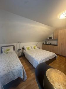 Vila Laurus