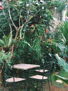 Kap homestay Pleiku - Lake view Heaven