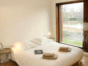 Forest house, ecolodge design