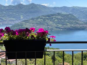 B&B Island View