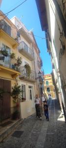 Nest Scilla