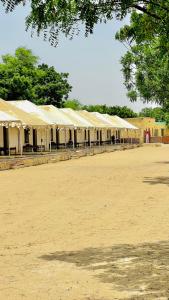 Big Brand Desert Camp