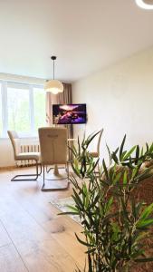 2 rooms apartament Akropolis