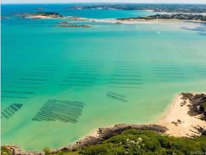 Appartements Panorama NewPort : photos des chambres