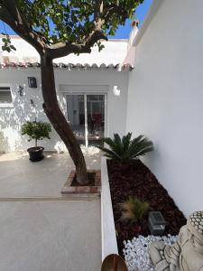 Casa patio limon