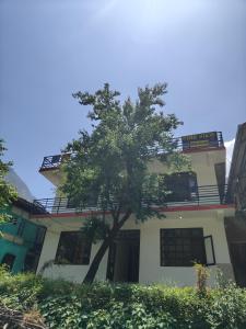 The Pine View by Kardar Stays
