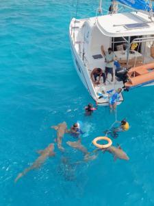 Sabba Whitesand Catamaran