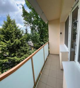 Apartmán Marína v zelenom dvore